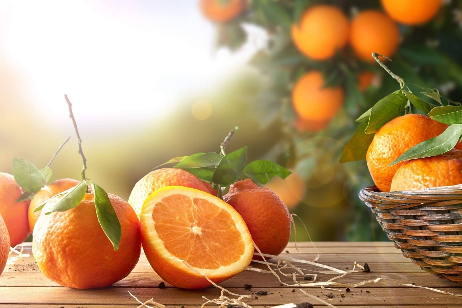 Los beneficios de la naranja para la salud de la mano de Sabor a Naranjas