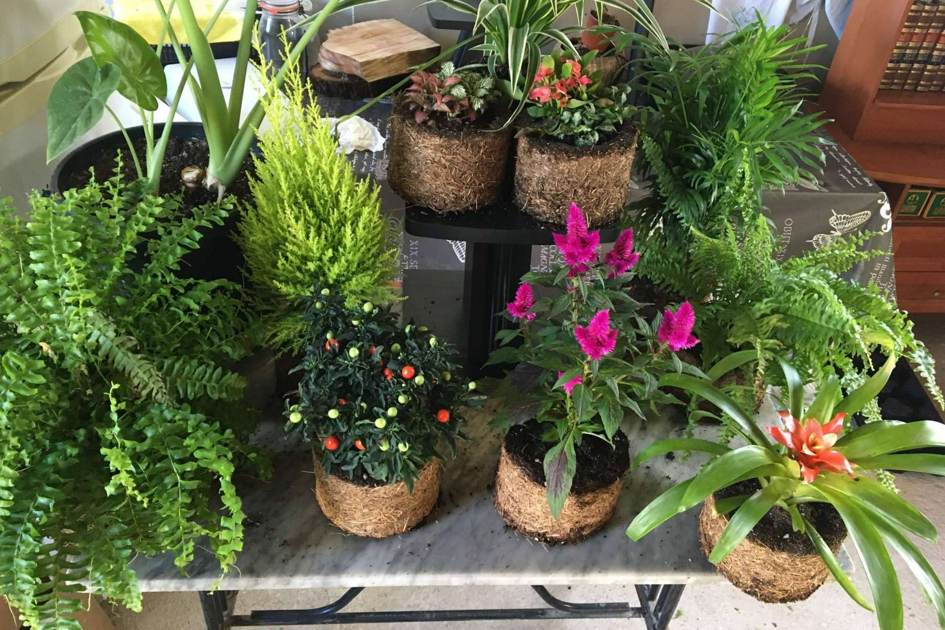 Un regalo ecológico y original para sorprender a la pareja el día de los enamorados mientras se cuida el planeta, con Biosolvit Spain