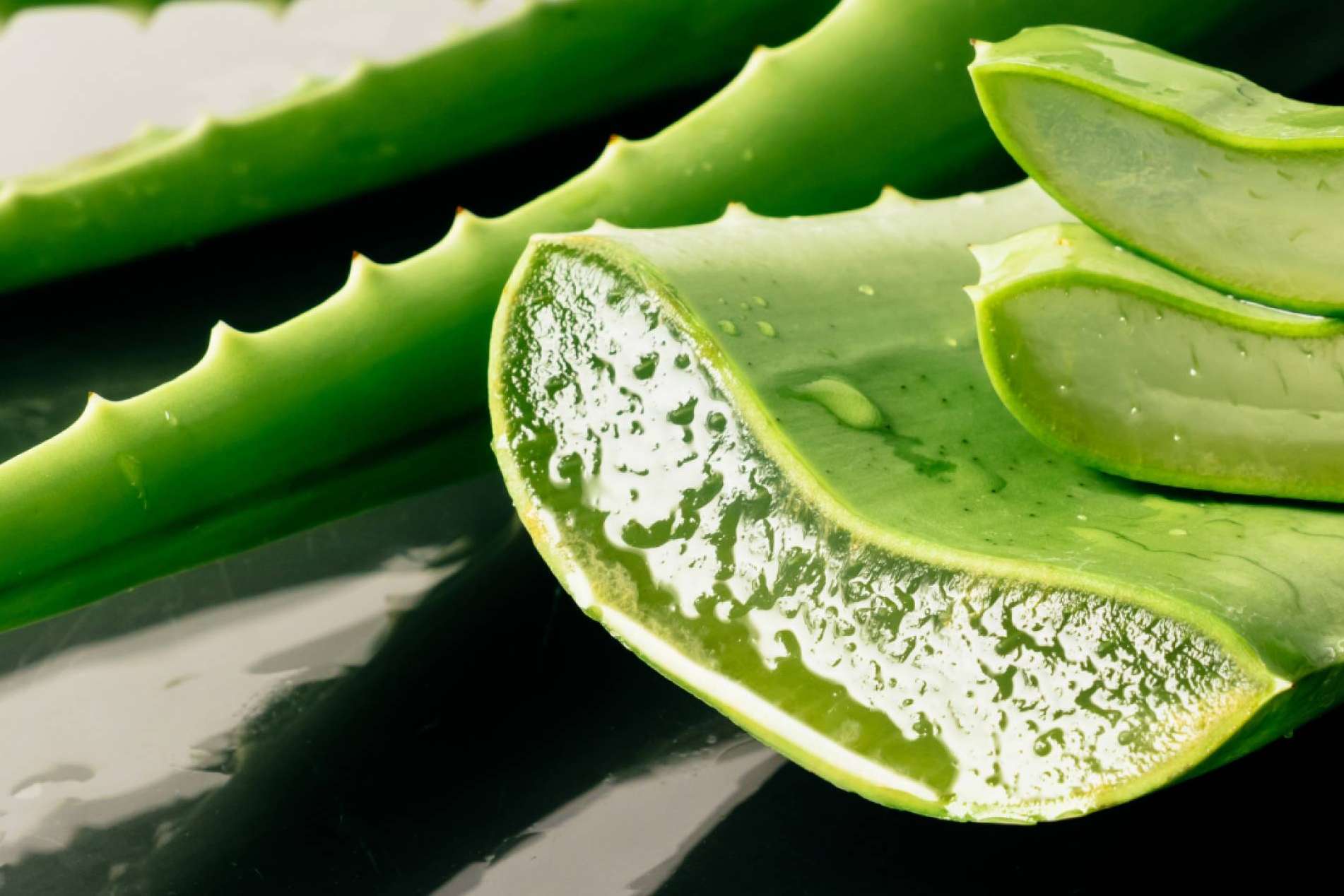 Los múltiples beneficios del aloe vera en la cosmética de CrisEssens