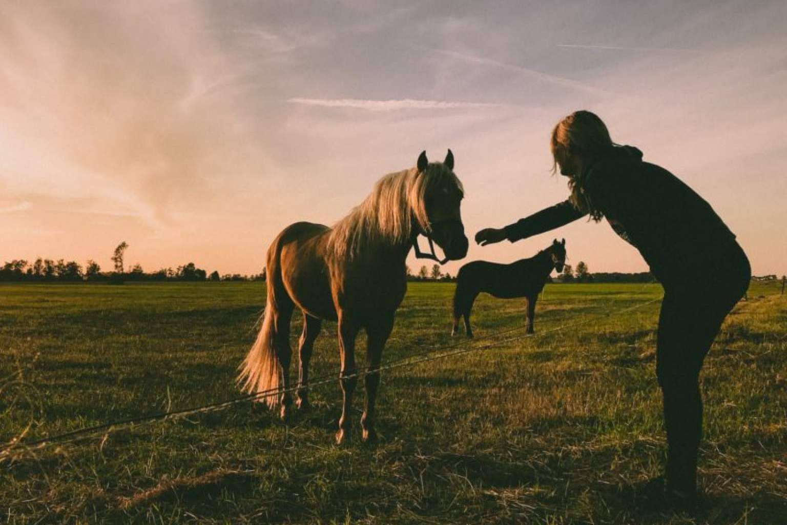 La importancia del marketing rural en el sector, por Relintre