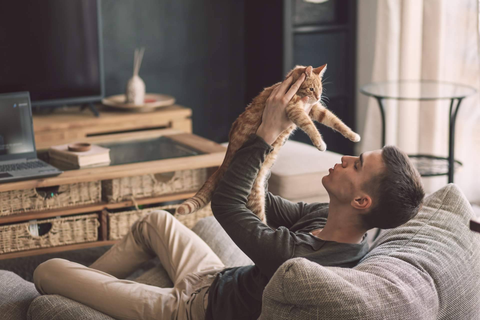 Leer diariamente el blog de 1 Click Vet y sus beneficios
