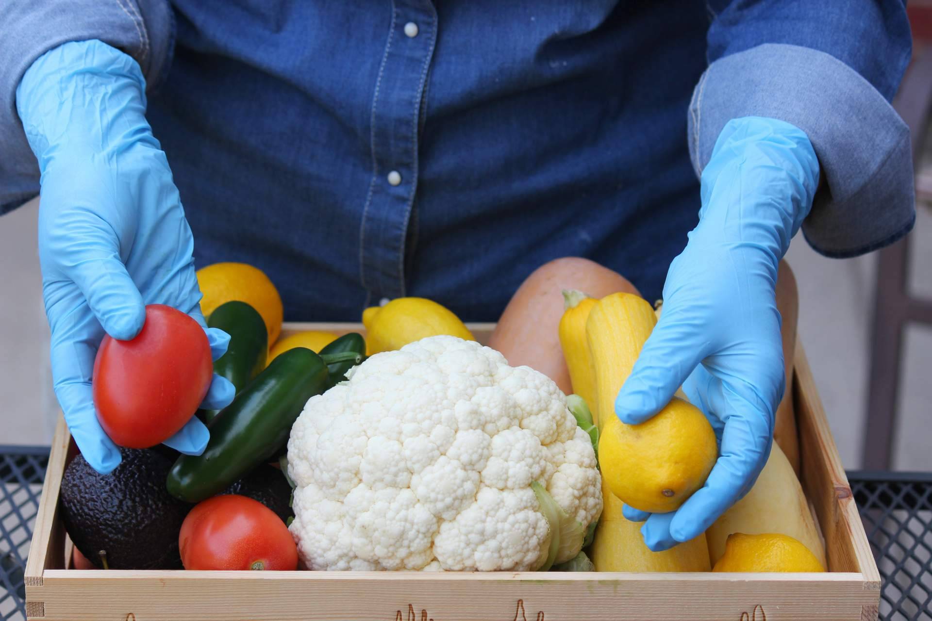 ¿Es importante realizar un curso de manipulador de alimentos para entrar a trabajar en el sector de la hostelería?, por Tecnas Servicios Integrales de Formación y Desarrollo SL