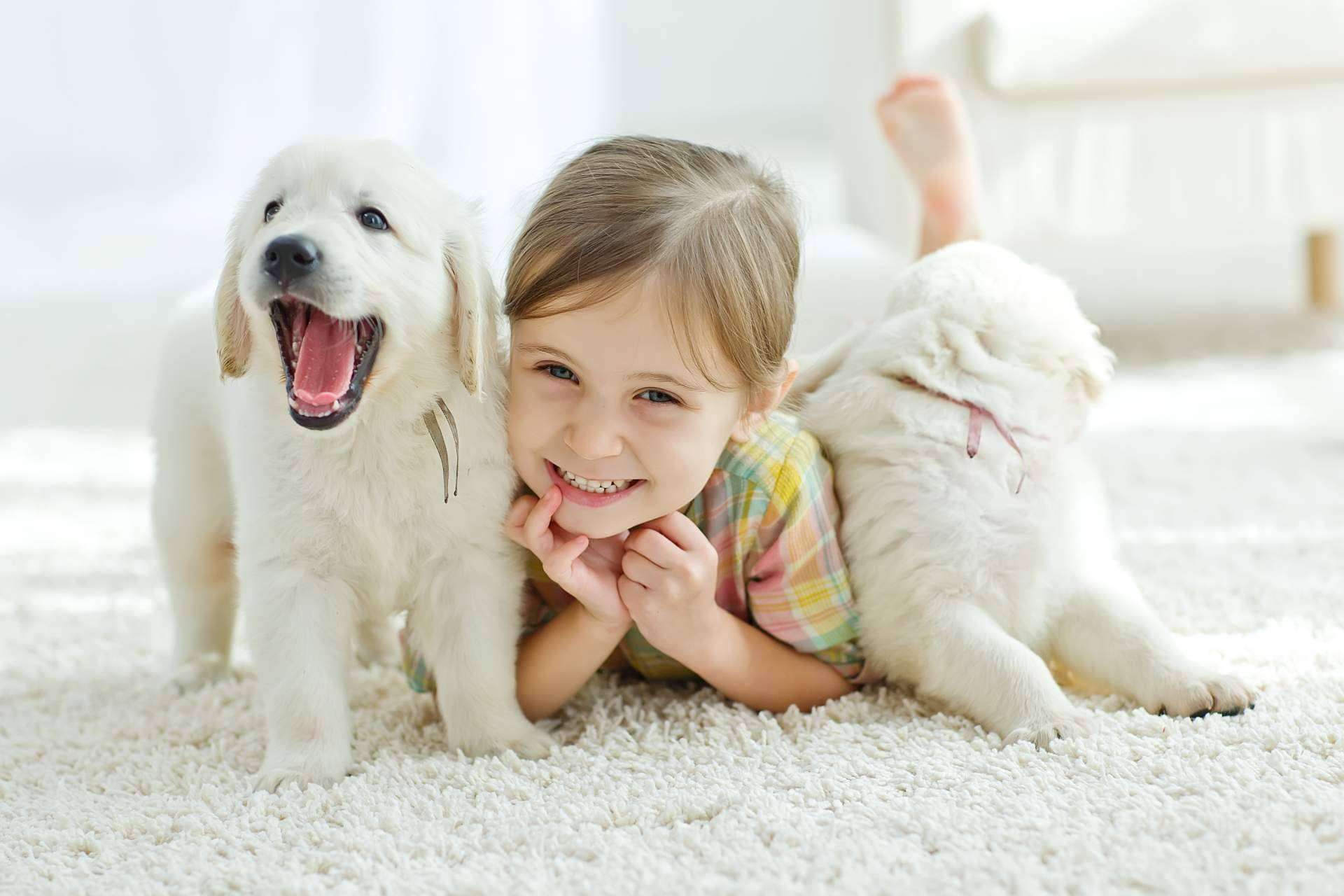 ¿Cómo convivir con un animal de compañía adecuadamente ayuda a los niños y niñas? Los animales de compañía y el desarrollo infantil