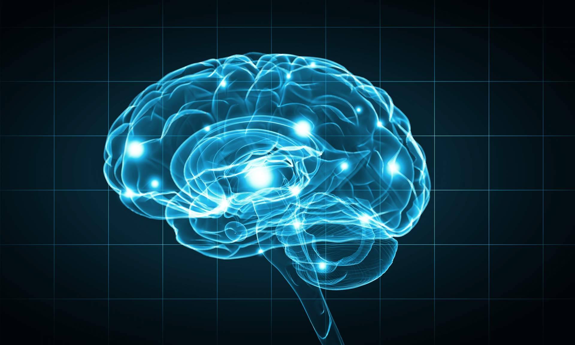 La aplicación del neuromarketing en la venta de propiedades