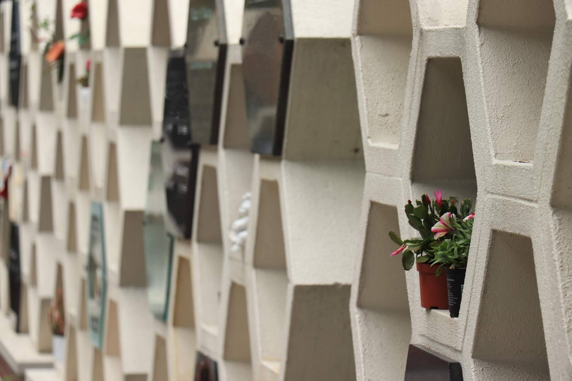 ¿Cuál es el precio de los servicios funerarios en Pamplona?