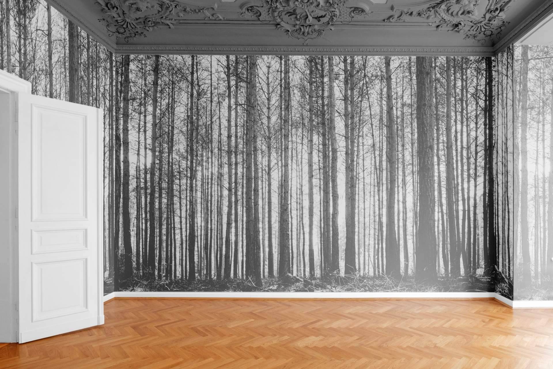 Fotomurales para decorar espacios con Imprimarte
