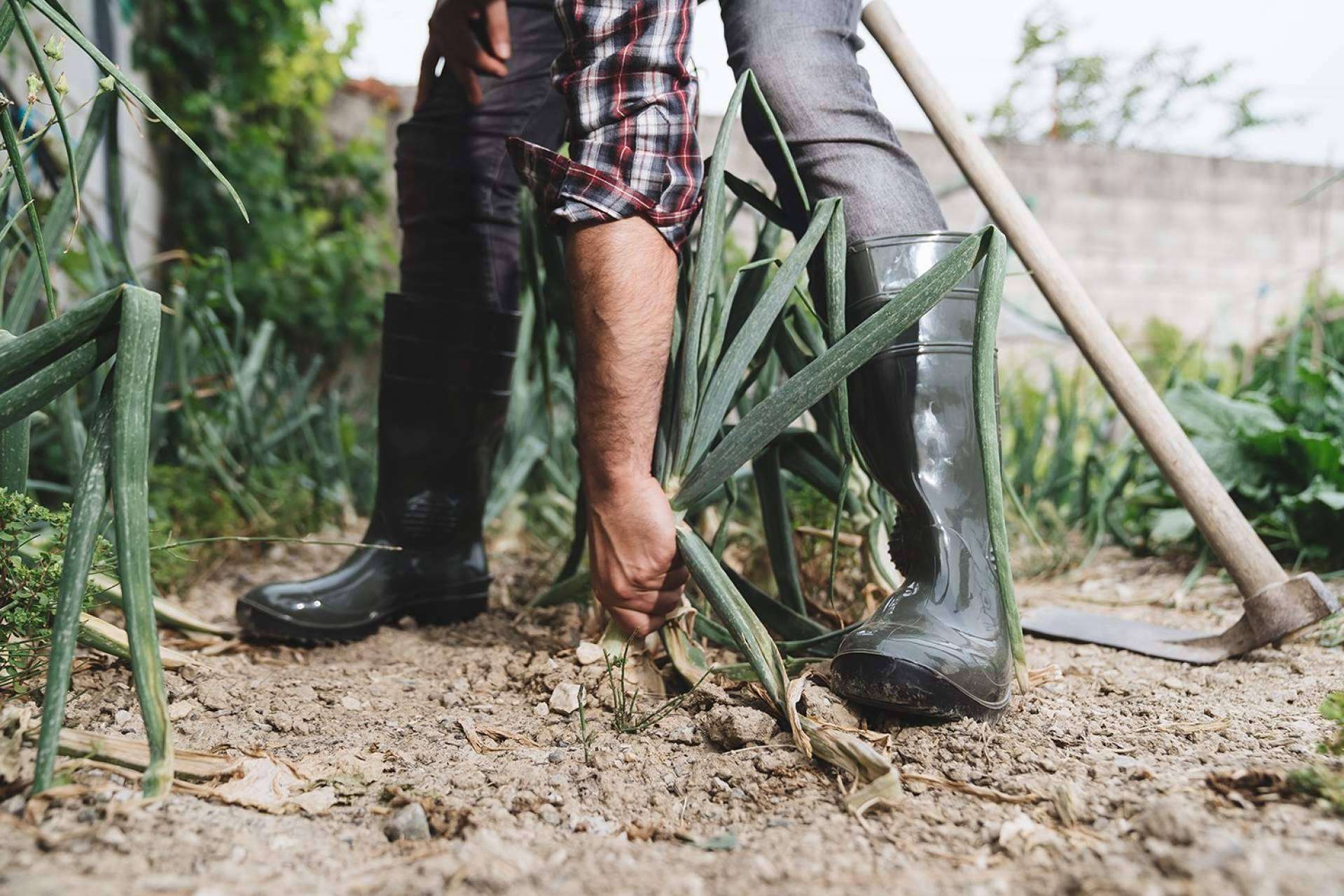 Las botas de huerta de calidad que ofrece Mavinsa