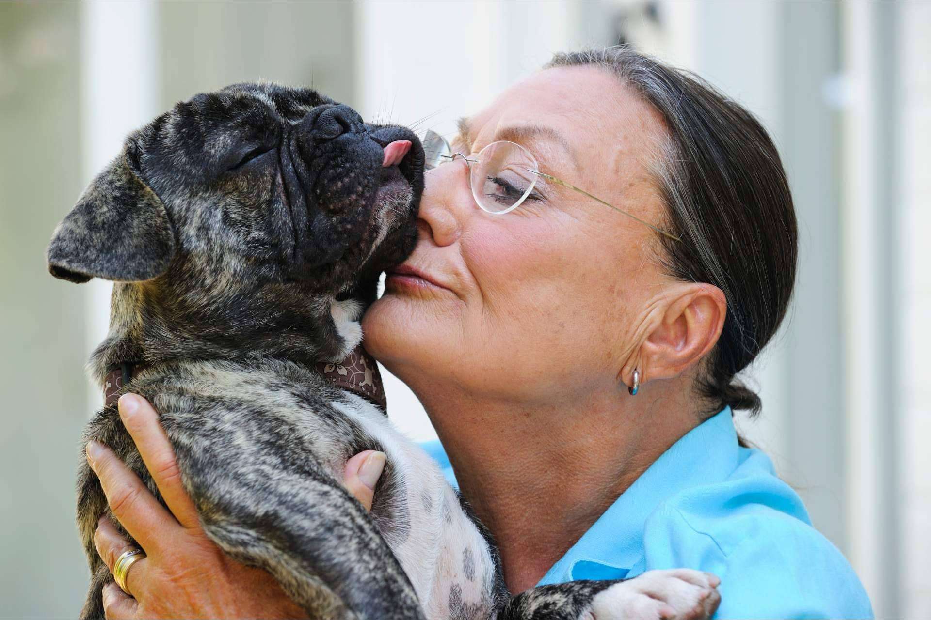 Los perros invisibles también necesitan una família