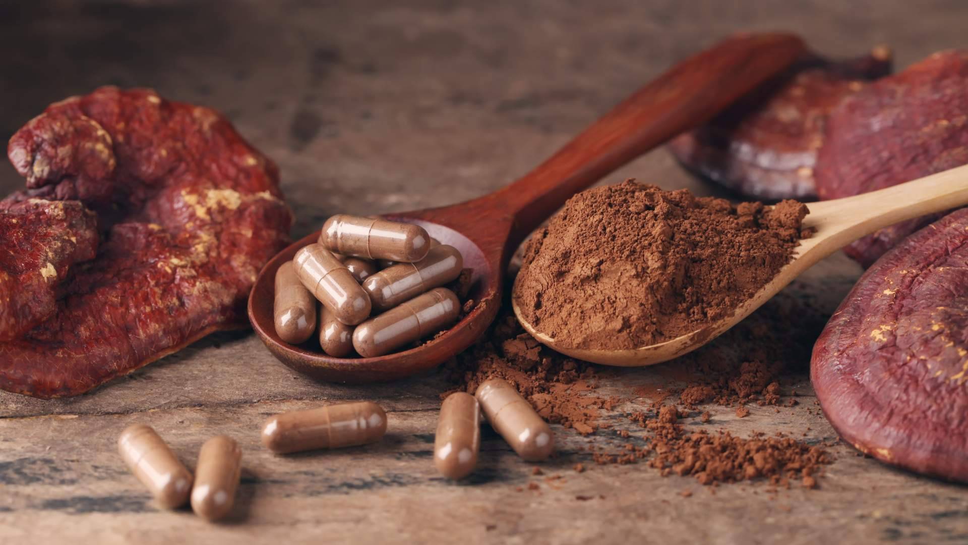 Un aliado alternativo para mejorar la salud y el bienestar, el hongo Reishi