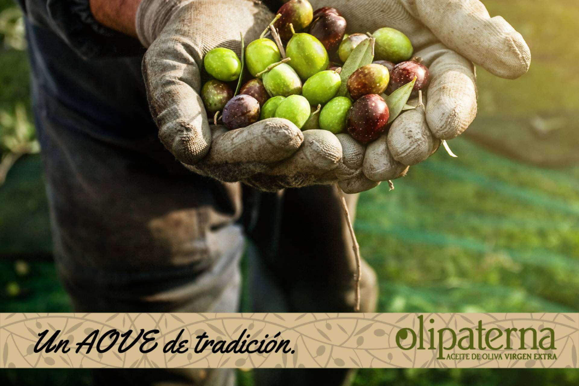 Olipaterna, galardonado en la octava edición del Premio al Mejor AOVE de la provincia de Huelva