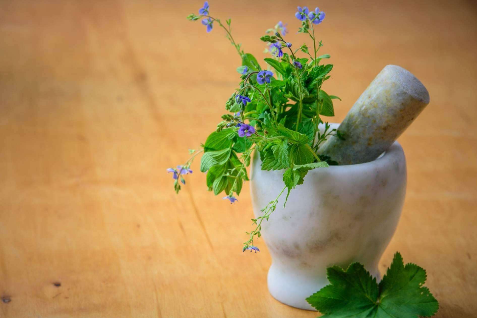Aprender todo sobre las plantas medicinales y sus usos con la formación en fitoterapia