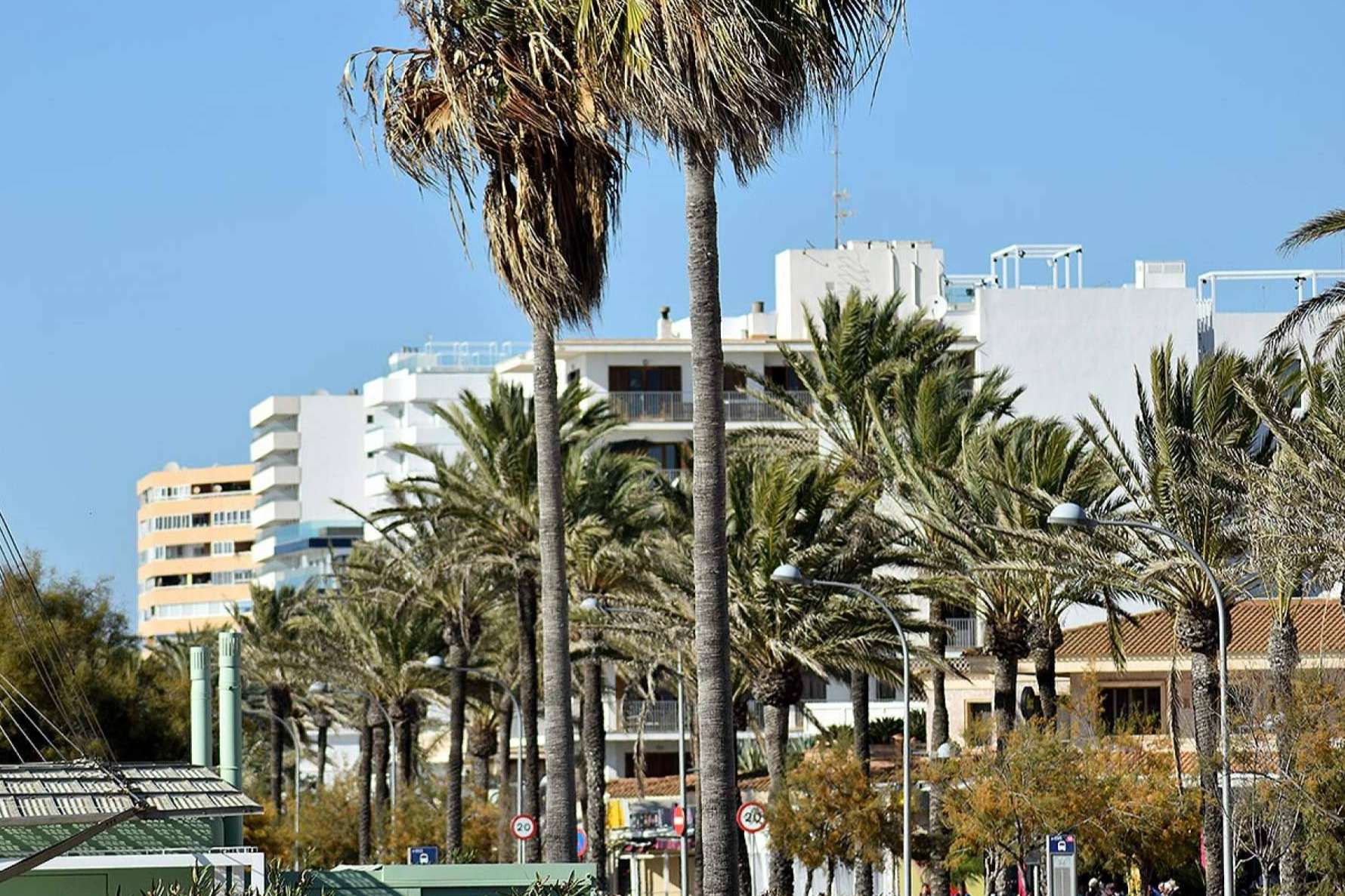 El refuerzo de Mallorca Informa a su sección de turismo