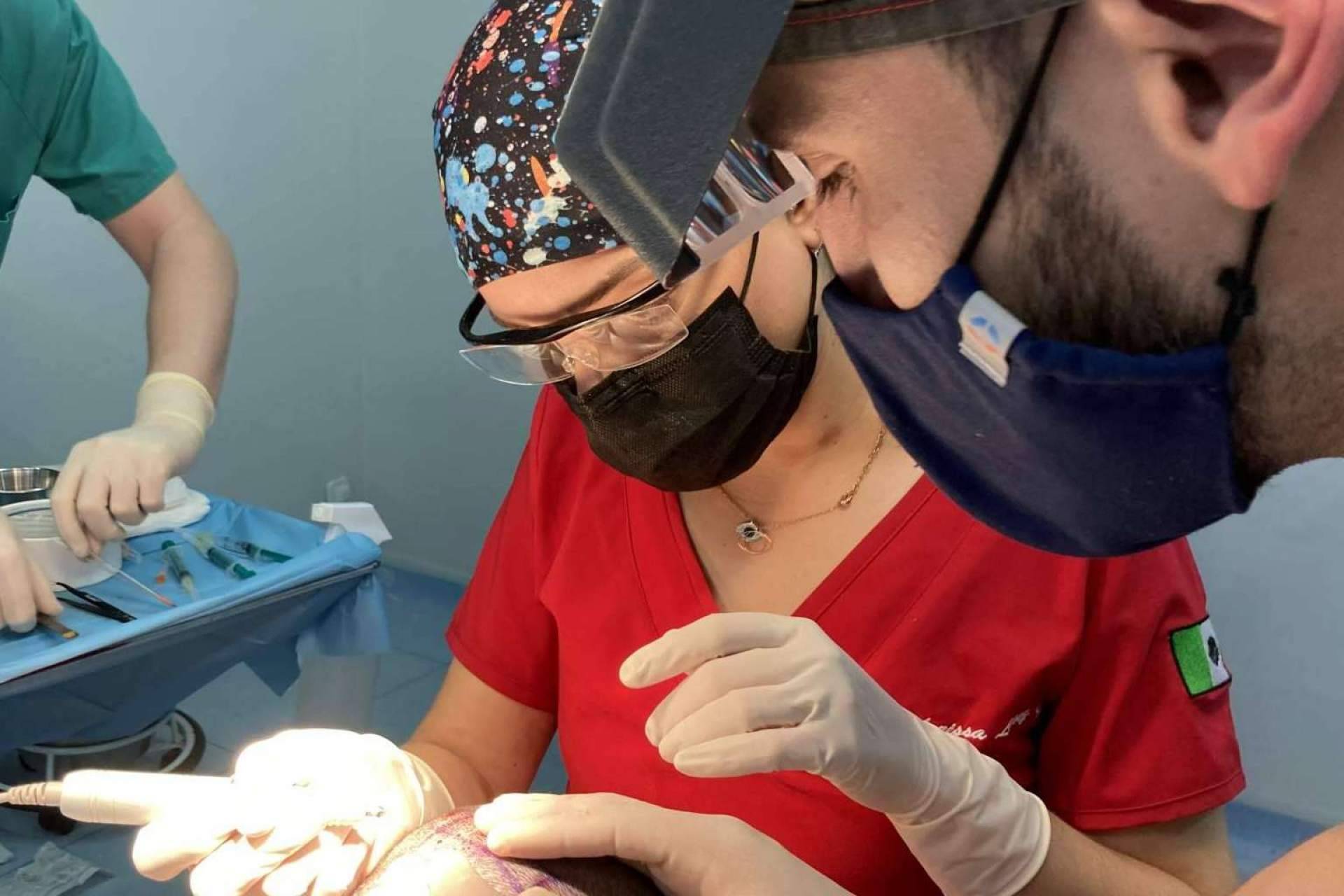 El Máster FEMEL cuenta con un destacado profesorado en cirugía capilar