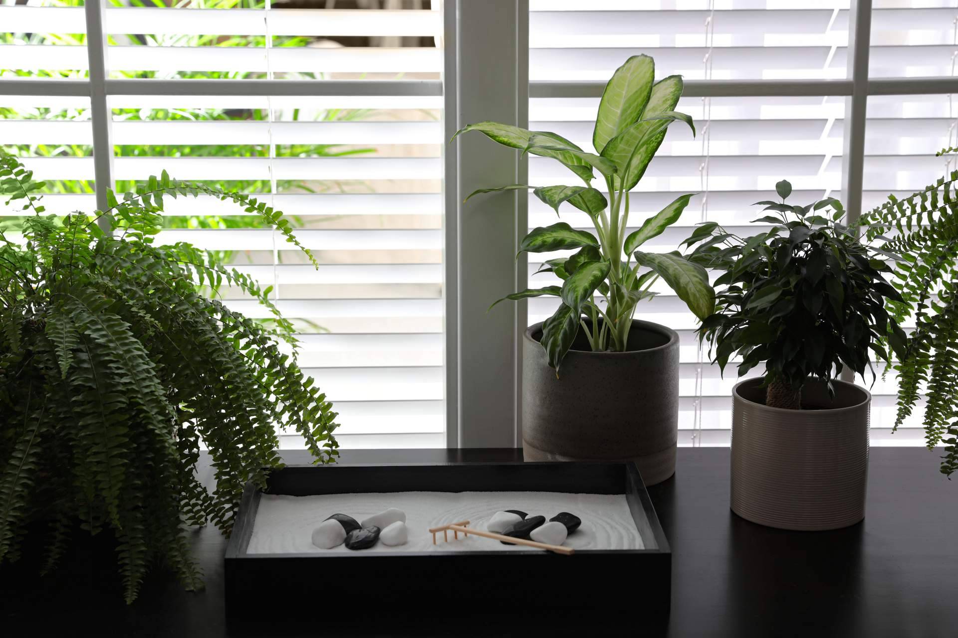 ¿Por qué es importante el Feng Shui en la decoración del hogar?, por Sonia Ramos