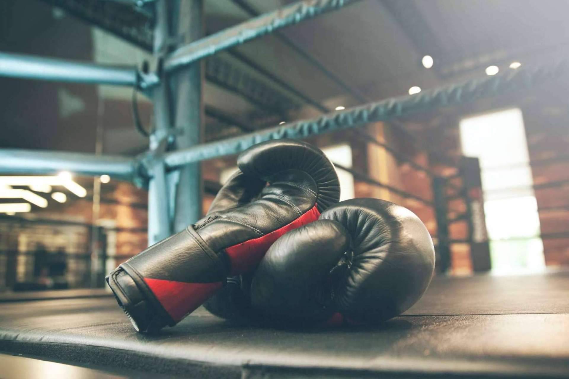Comprar guantes de boxeo adecuados, en Mis Guantes de Boxeo