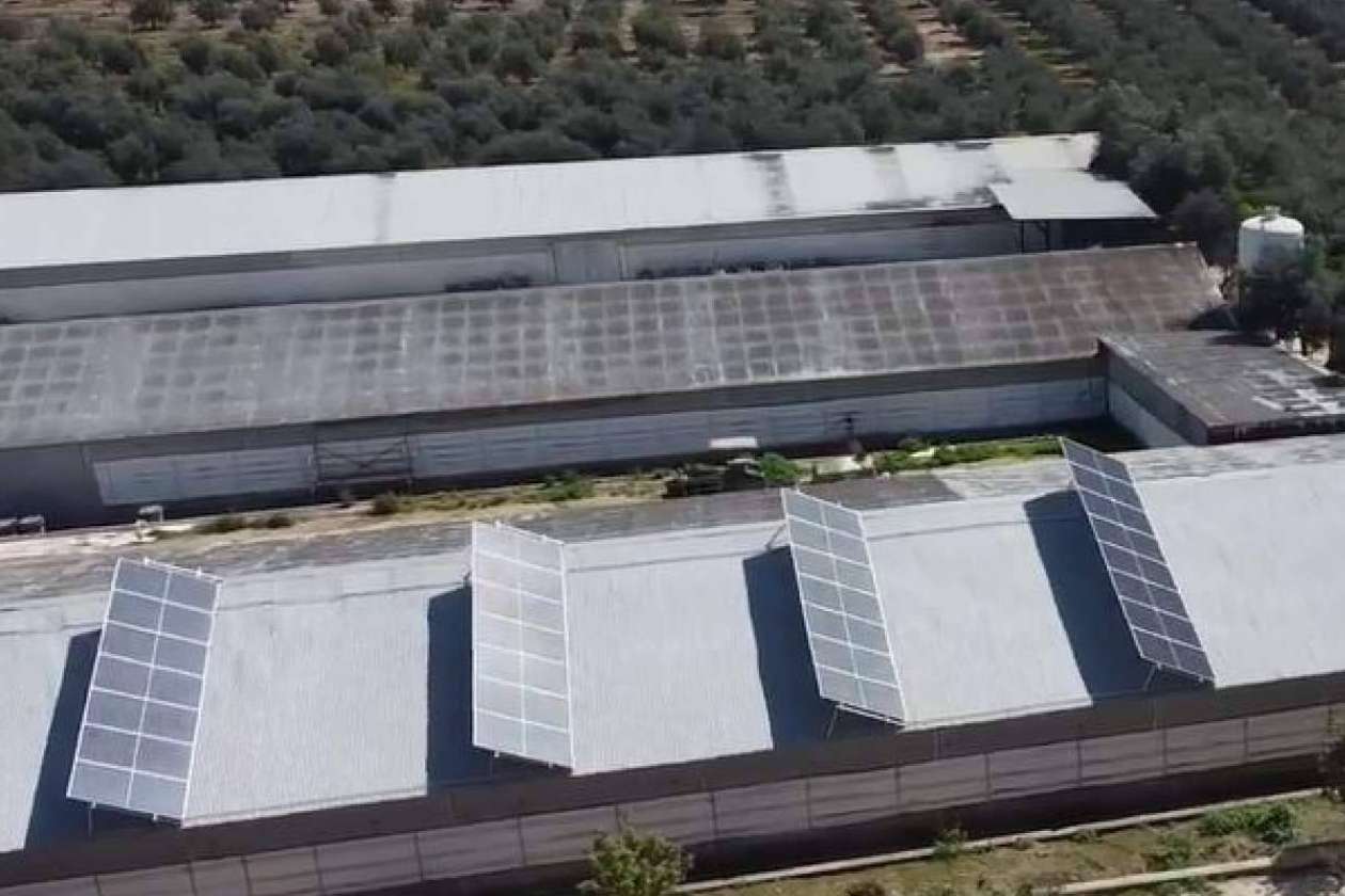 TodoAgrícola presenta los beneficios de contar con energía de autoconsumo en empresas