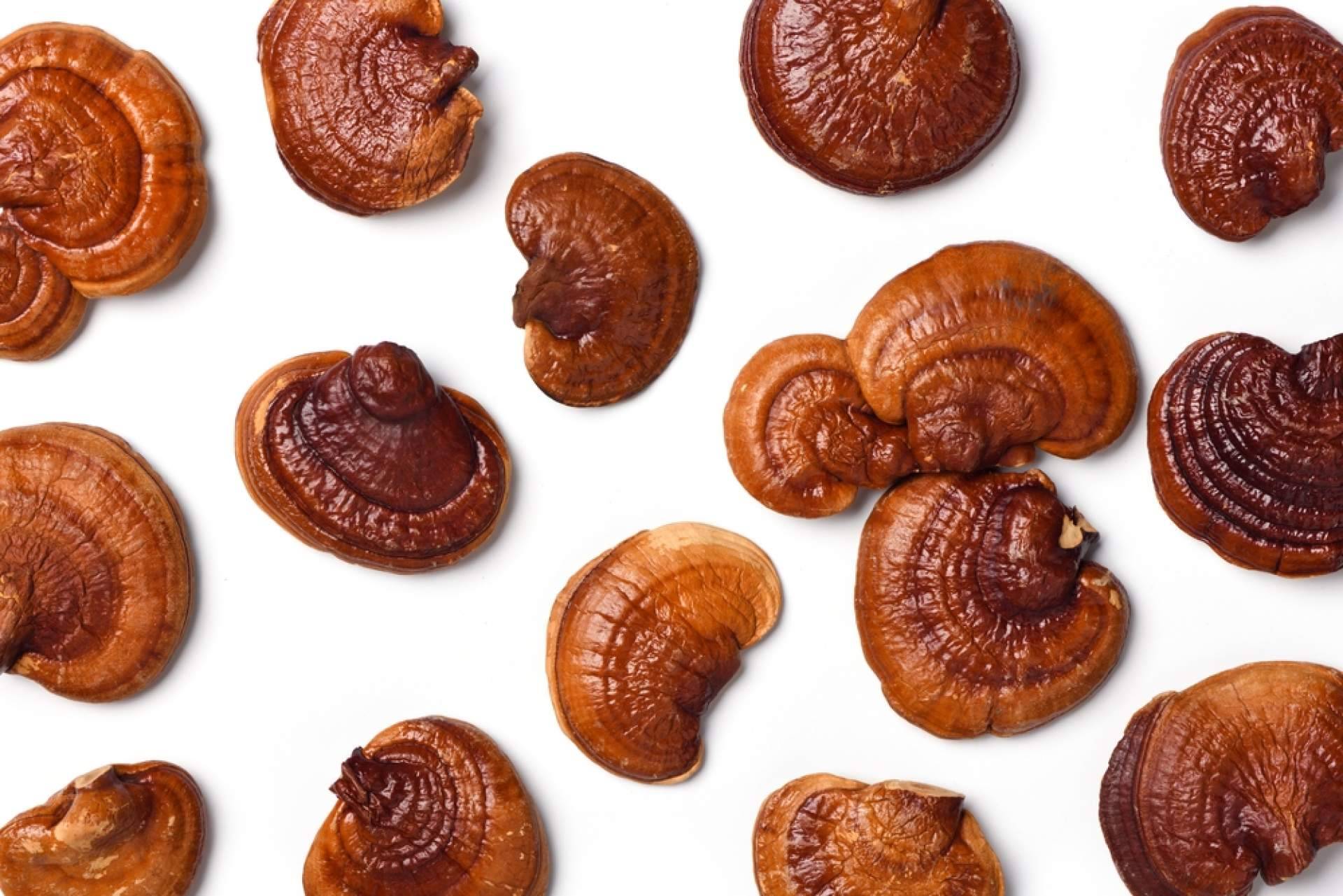 La Tienda De Cristóbal sobre la combinación de café con ganoderma