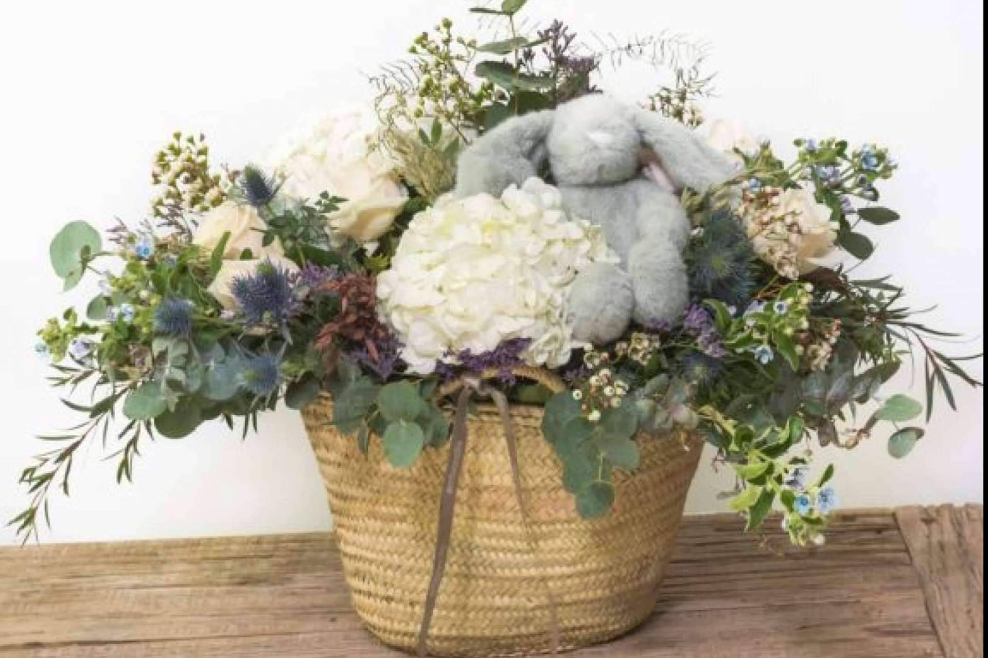 Enviar flores para nacimientos de la mano de Amborella