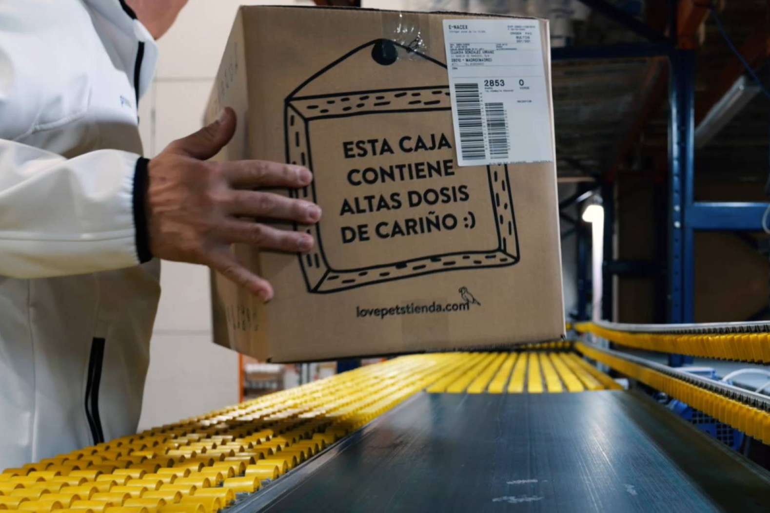 ¿Cuál es la alimentación adecuada para pequeños roedores?, por los expertos de LovePets