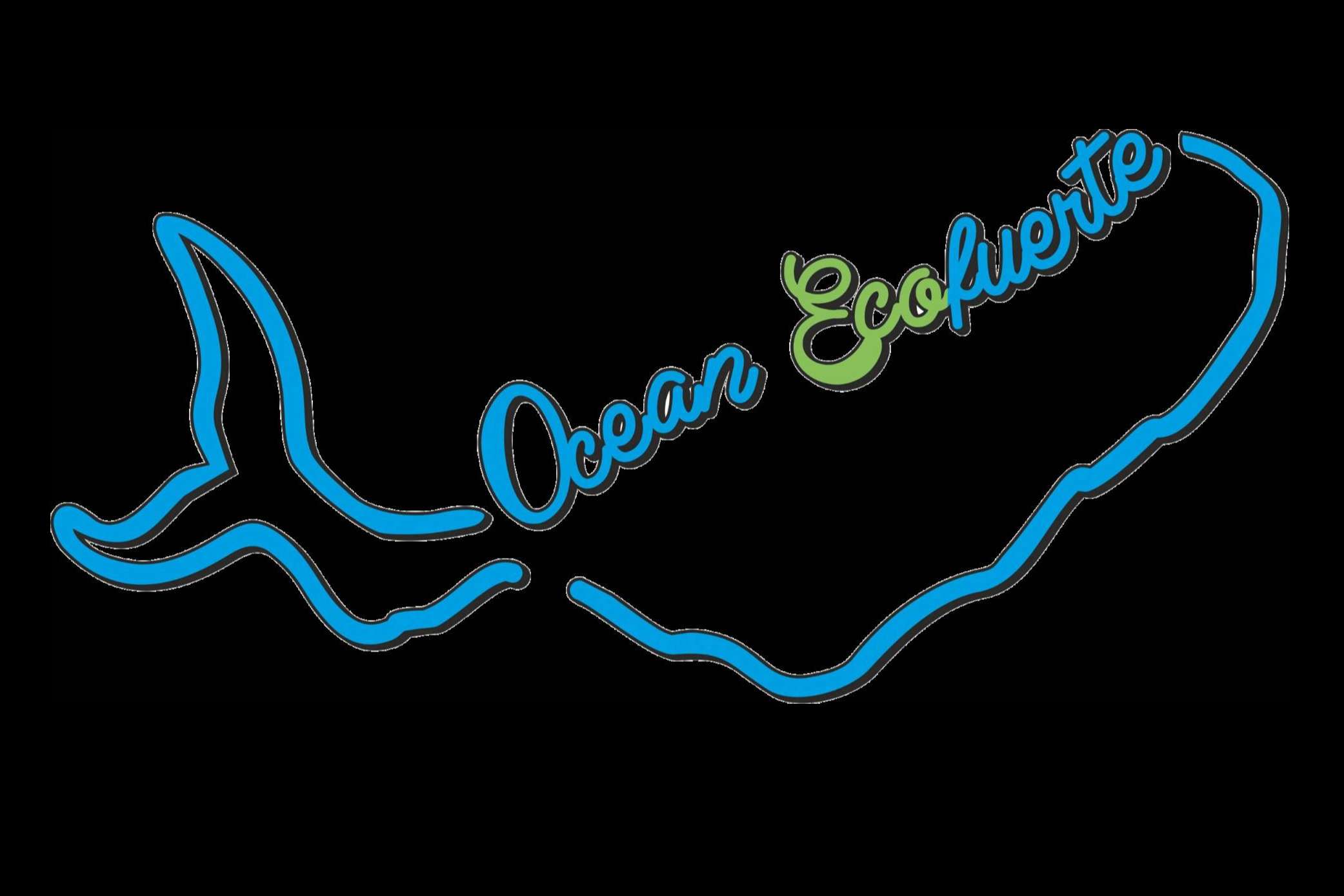Todo lo que se debe saber sobre el detergente ecológico y cómo contribuye con el planeta, por OceanEcoFuerte