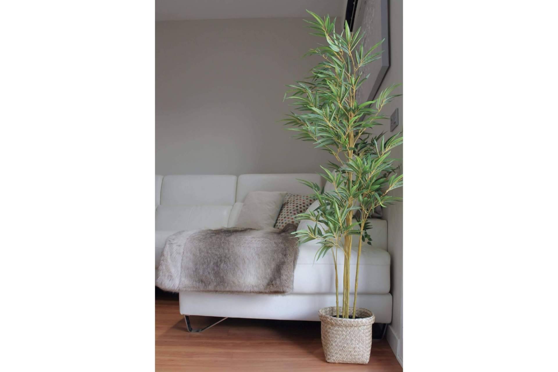 Zamyo, la innovación en la decoración y las plantas decorativas artificiales
