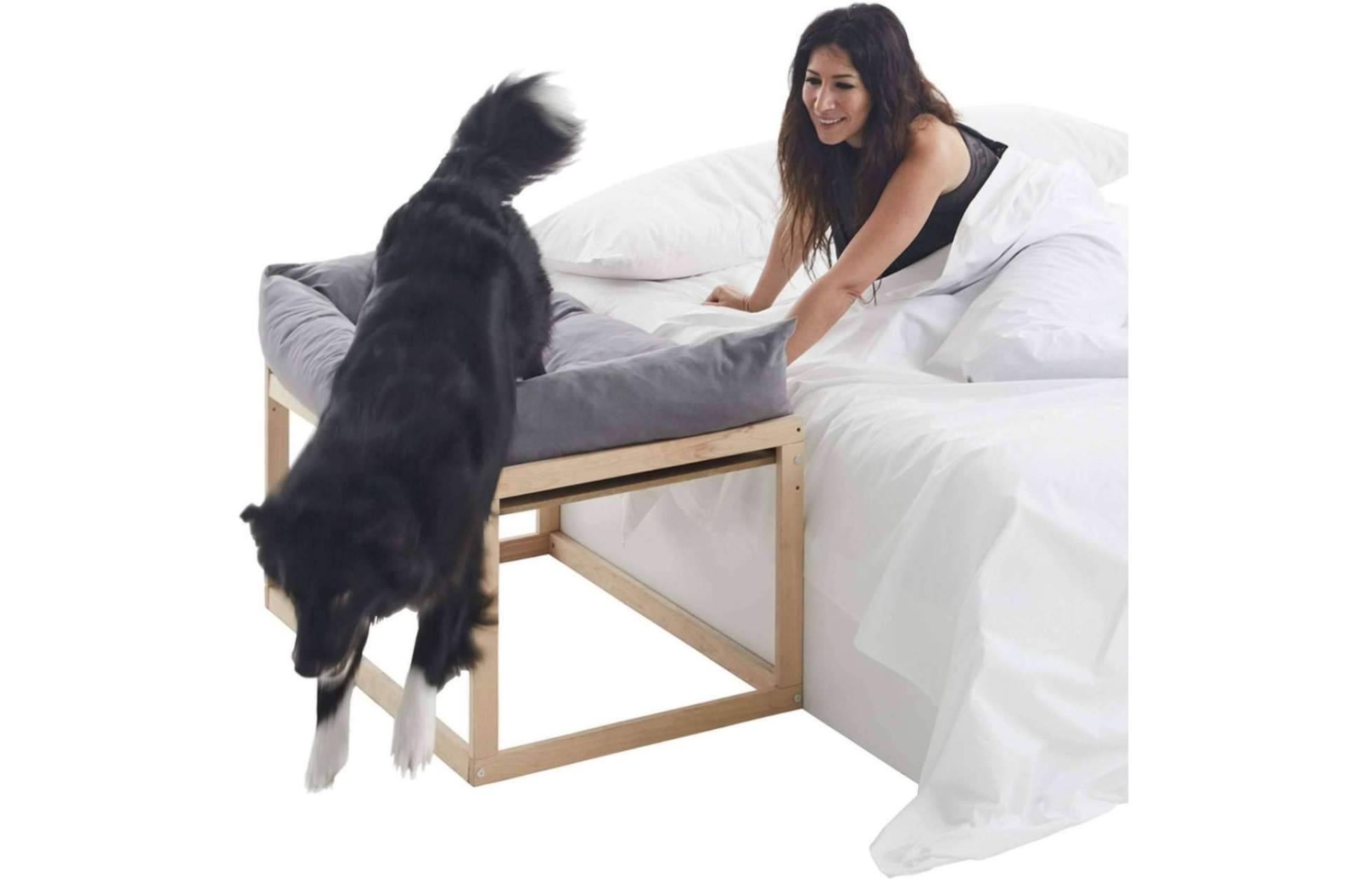 Camas colecho para perros, en Cool-Dreams