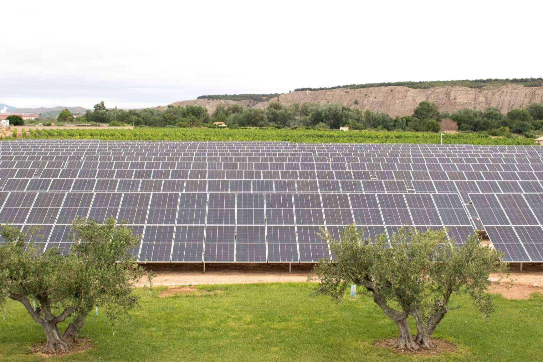 Intermalta, una de las compañías pioneras en el autoconsumo de energía, ha inaugurado sus instalaciones fotovoltaicas