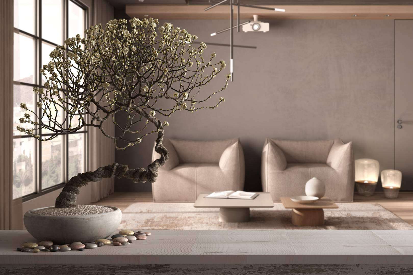¿Por qué es importante el Feng Shui en las casas para mantener la armonía y el equilibrio mental?