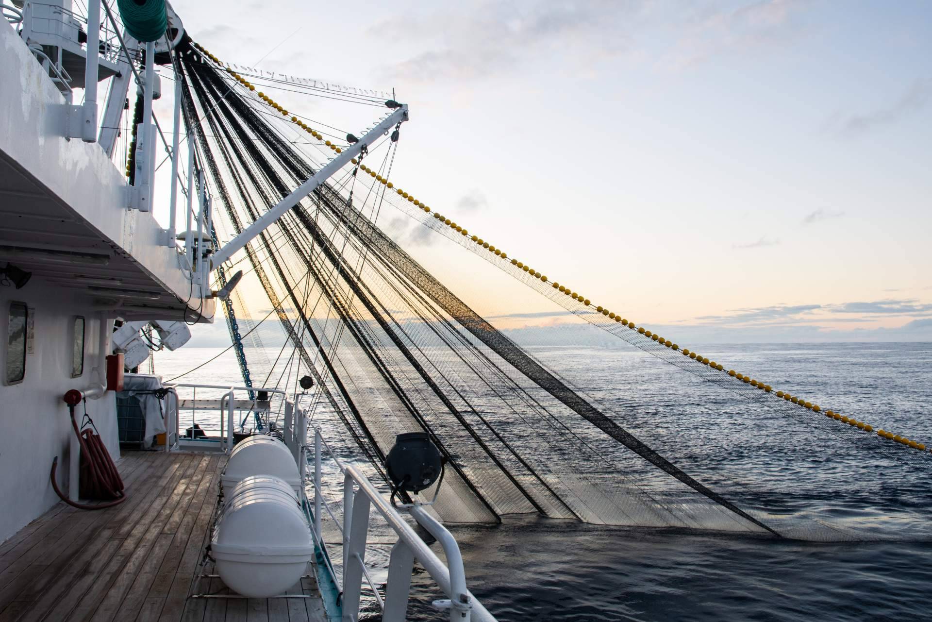 La importancia de disponer de los accesorios necesarios para la plataforma de popa