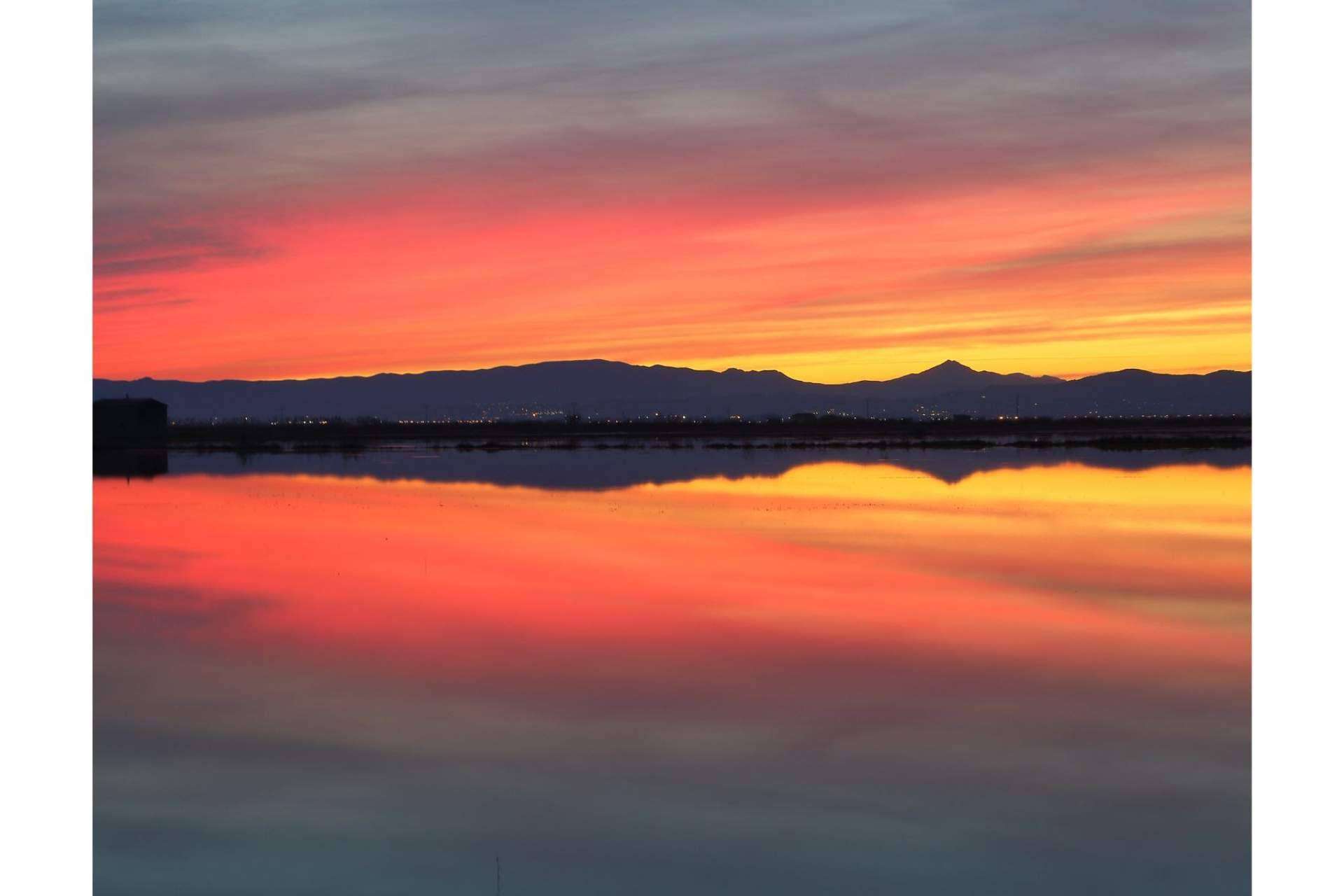 Paseos en barca por la Albufera para descubrir el lugar, de la mano de Albumar