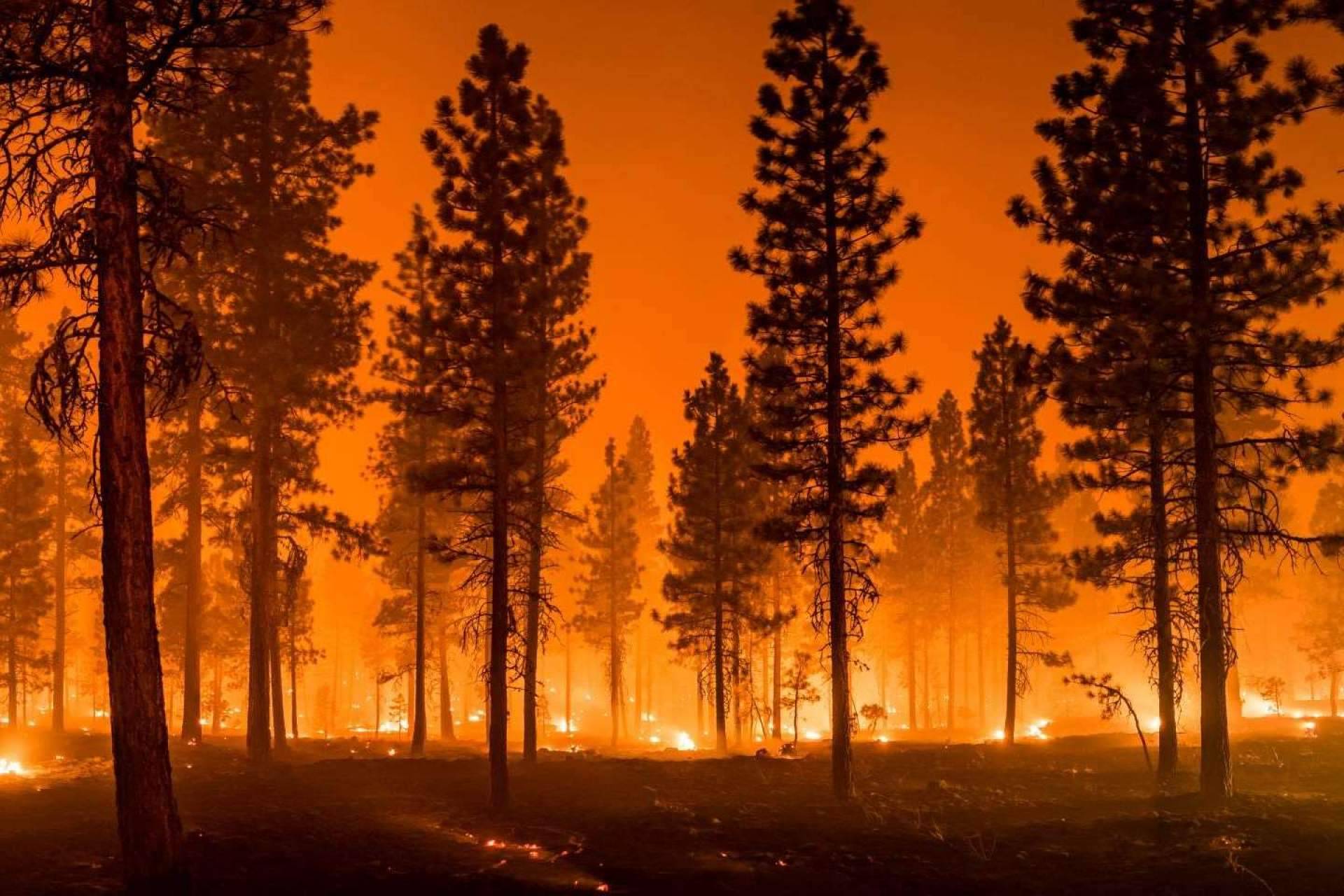 Apagar fuegos más rápido, ecológico y sostenible mediante el extintor líquido orgánico AYDOAGUA
