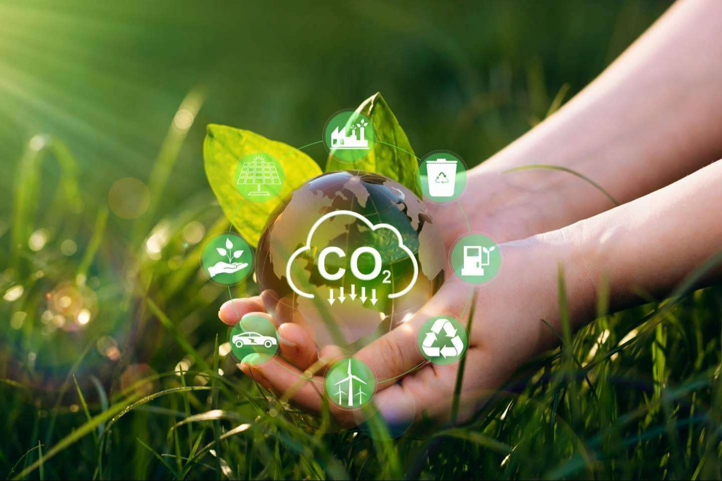 ClimateTrade ofrece innovadoras soluciones para que las empresas puedan compensar la huella de carbono