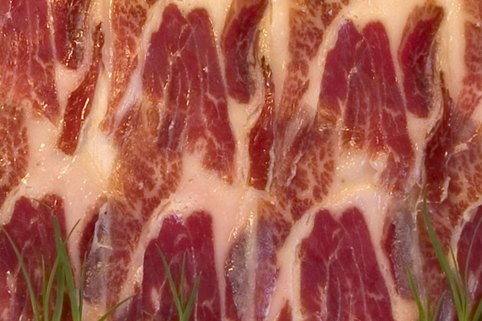 ¿Qué es un cerdo ibérico de cebo de campo?