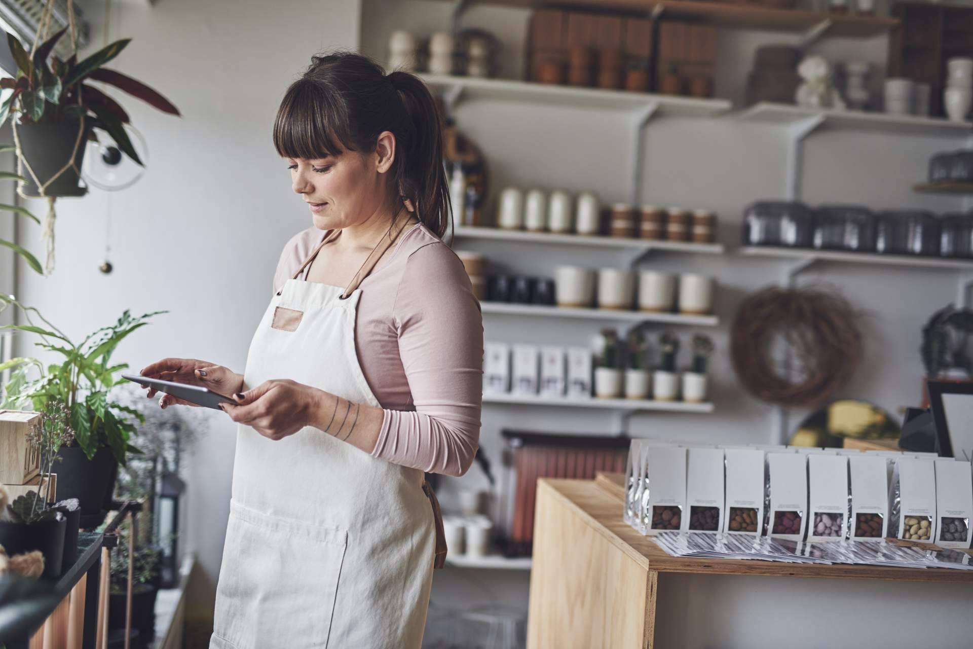 IceCream Marketing Shop tramita solicitudes para el segmento II del Kit Digital
