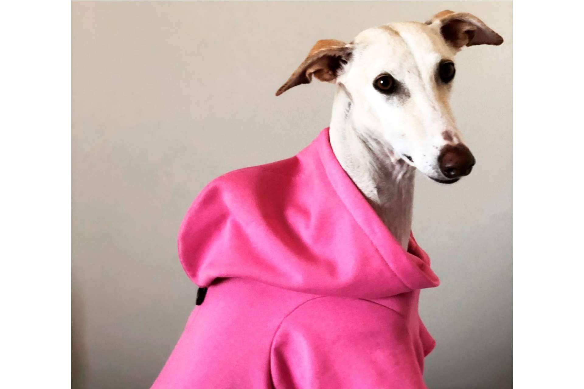 Lucas & Lola dispone de un amplio catálogo de ropa para mascotas