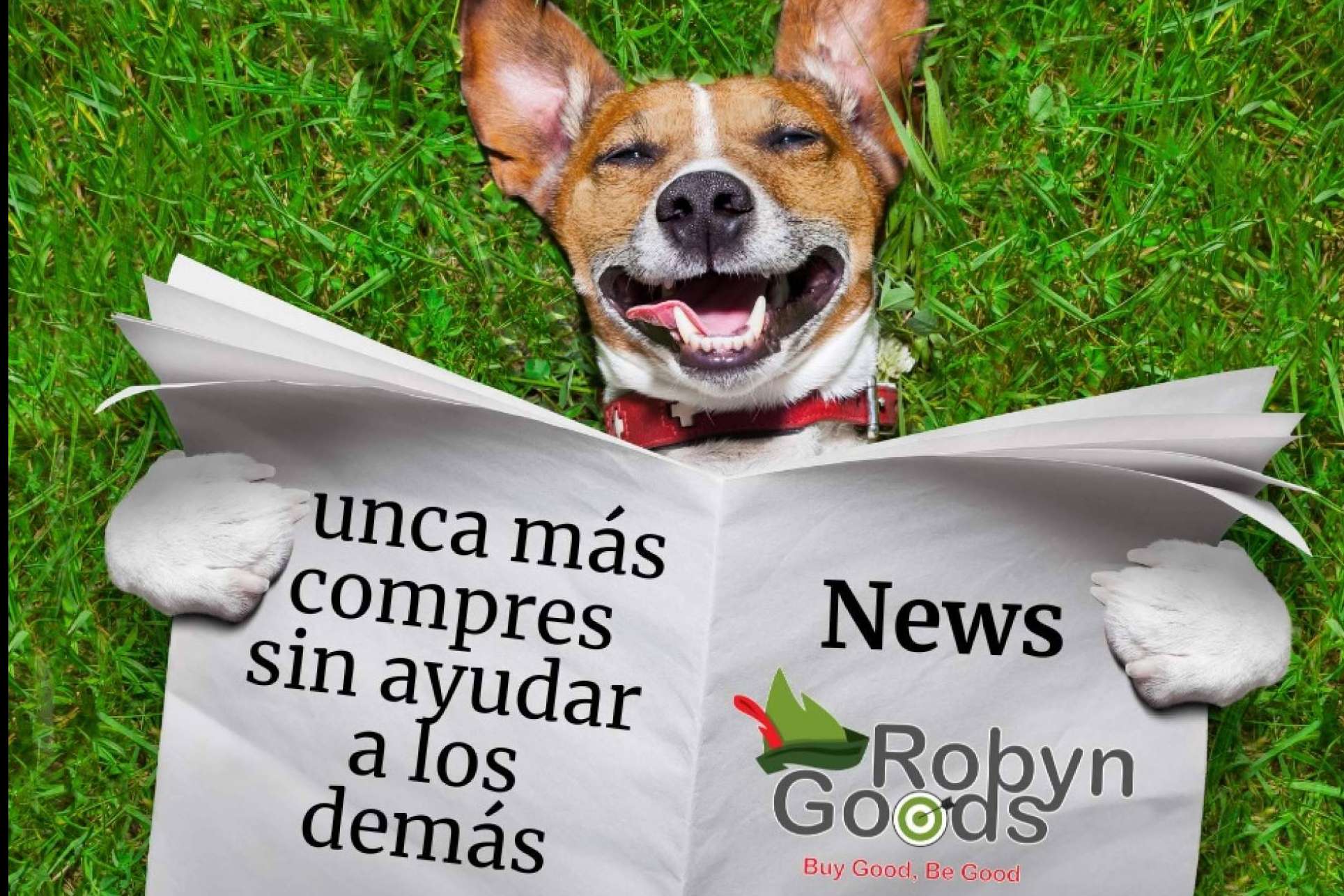 RobynGoods, un marketplace que promueve la solidaridad en cada compra