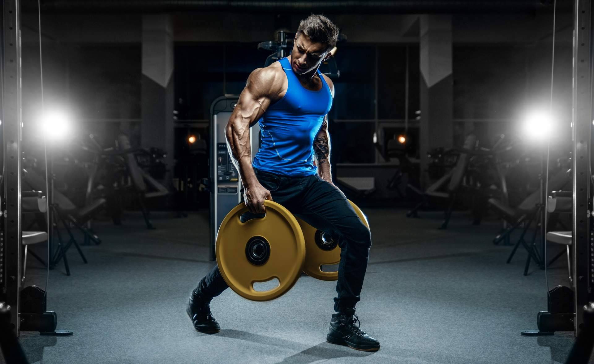 Los productos para aumentar la masa muscular de Beverly Nutrition