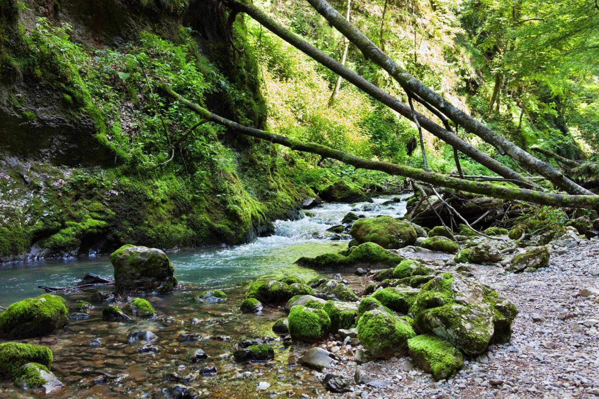 Crear conciencia de cómo cuidar el planeta con el programa de salud medioambiental de WellWo
