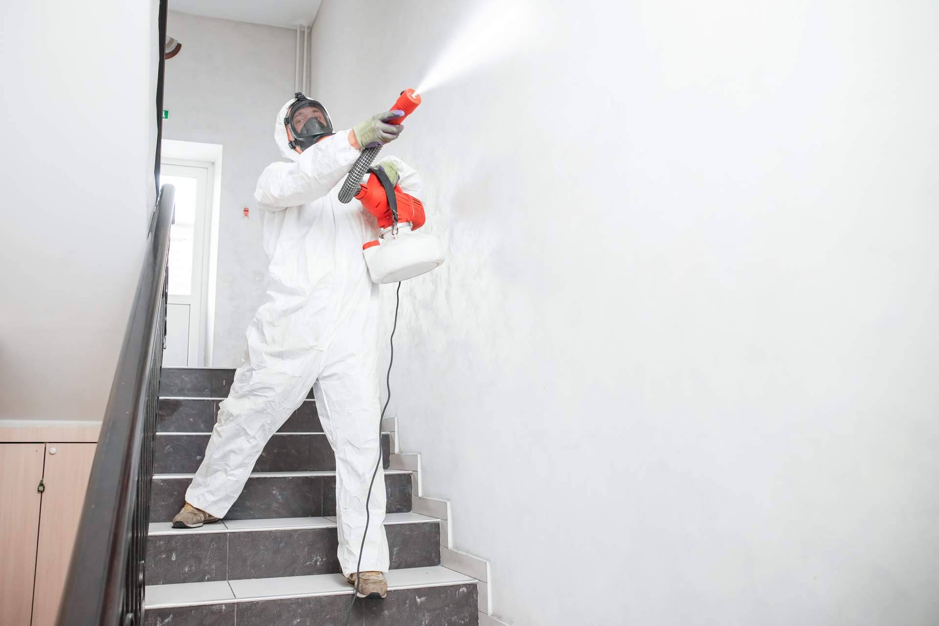 American Pest Control, una reconocida empresa de control de plagas en Madrid