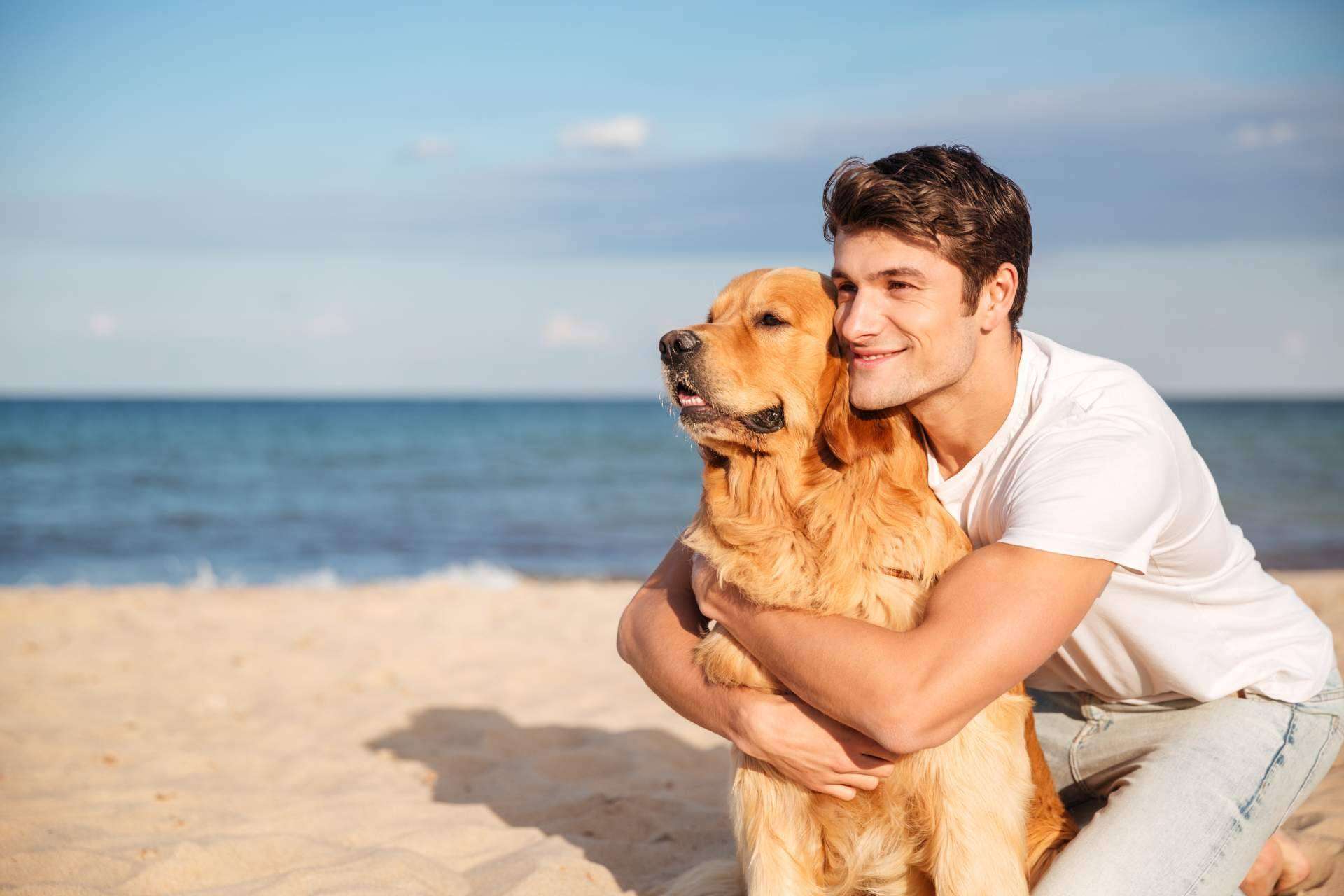 Barkibu presenta los seguros de mascotas para perros y gatos