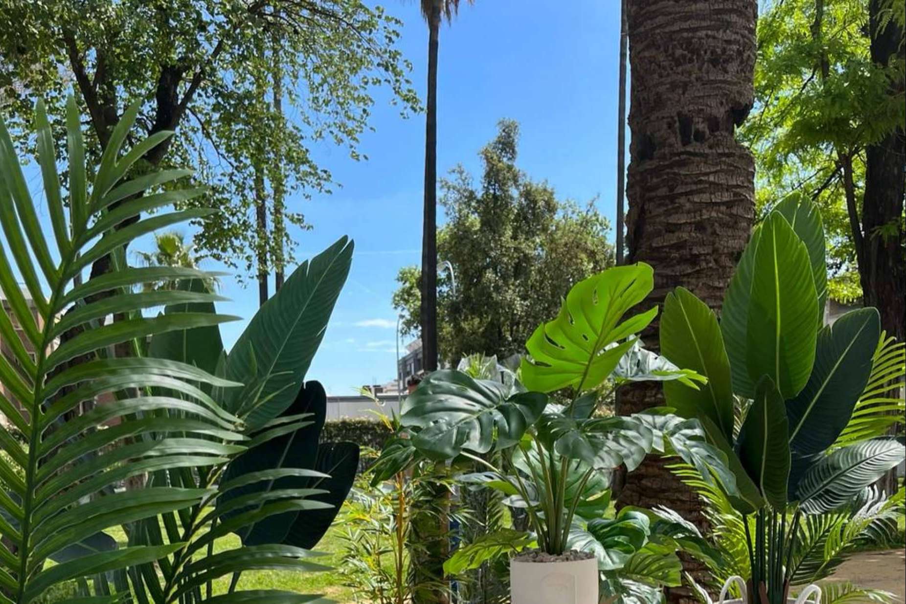 Zamyo permite adquirir plantas artificiales por internet