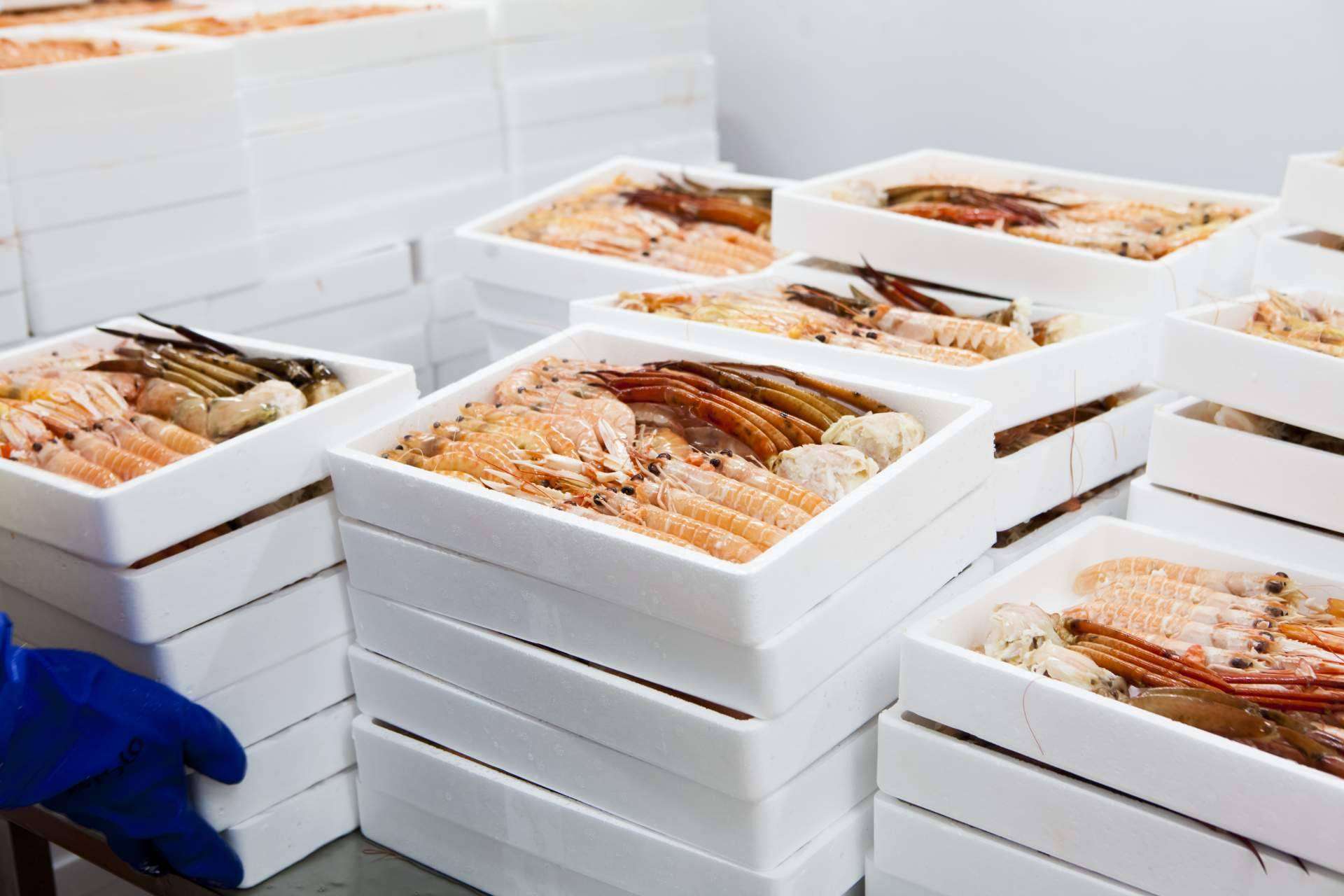 Mariscos Apolo importa marisco congelado y pescado de calidad
