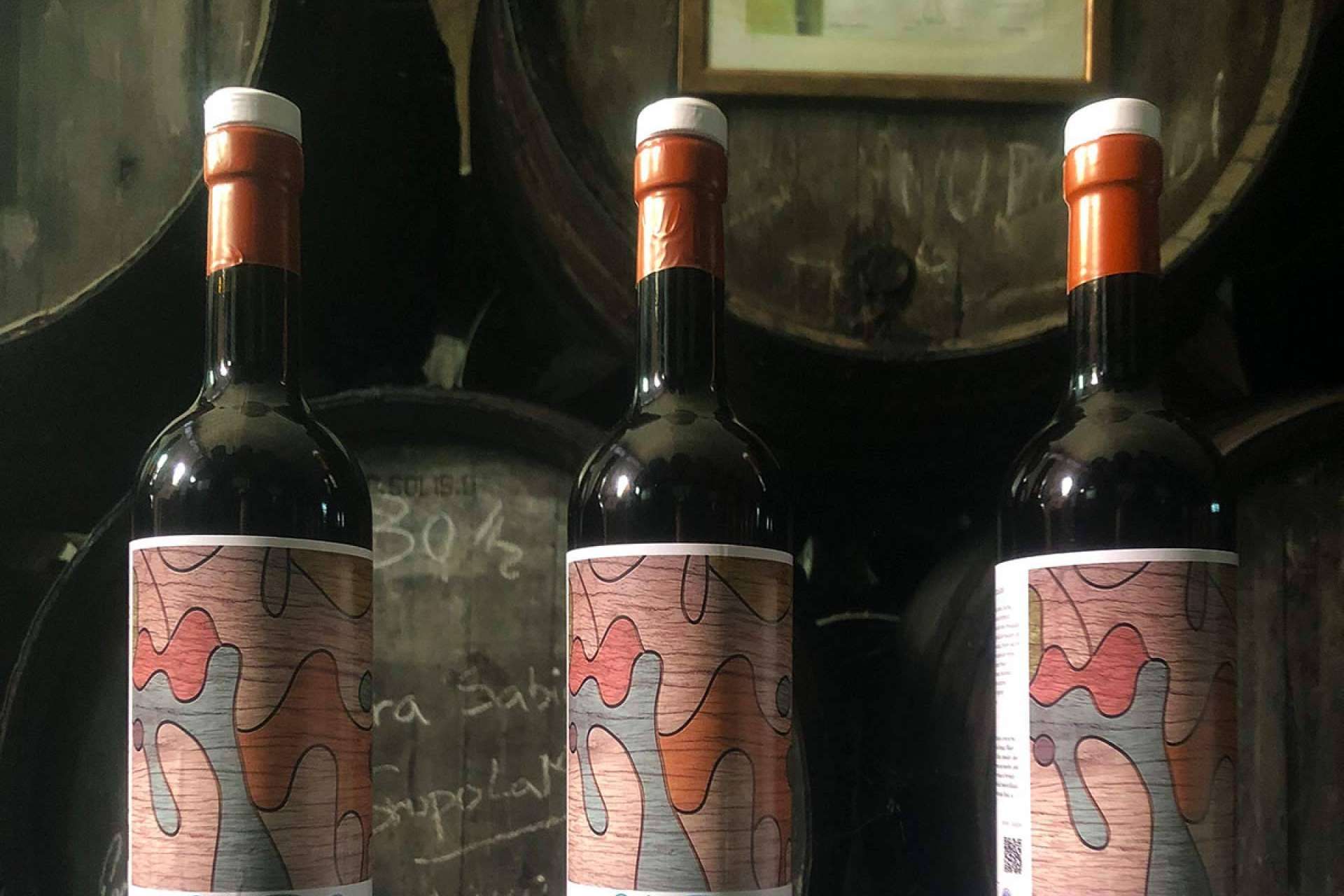 Producción de vino ecológico en España, con Bodegas Robles