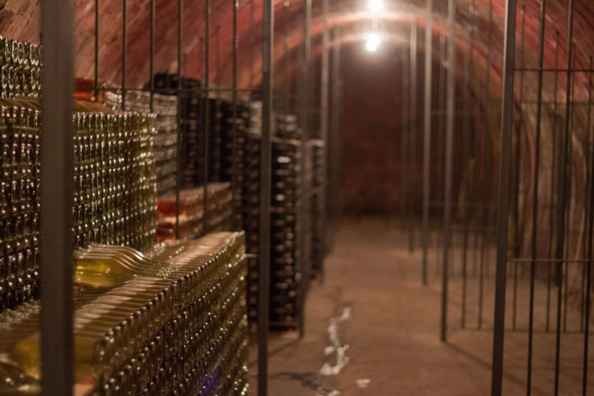 Cata de vinos de Natureloverswines para regalar enoturismo