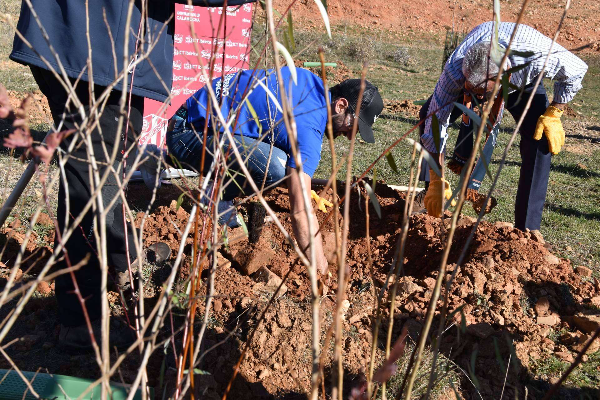 Beneficios que aportan los planes de RSC medioambientales, la plantación de árboles y apadrinamiento de bosques