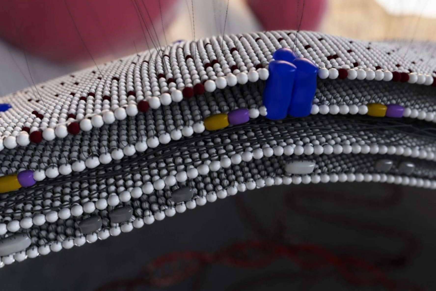 Animación 3D para medicamentos y MOA's (Mecanismos de Acción). La innovadora propuesta que ofrece Pixeldreams para el sector médico y farma