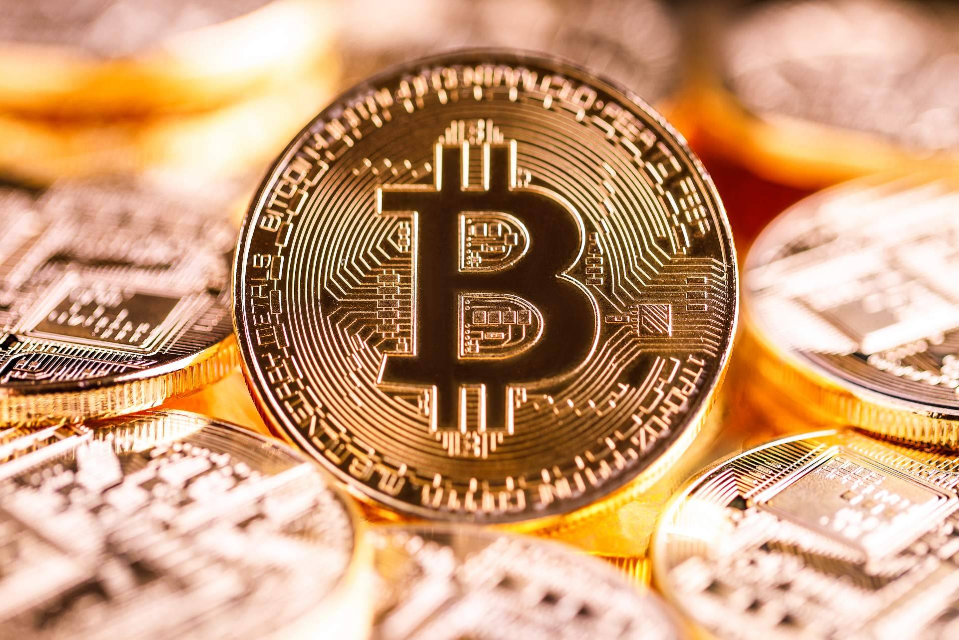 Desde una biocriptogranja hasta la energía solar, el uso de energías renovables para la minería de criptomonedas está aumentando