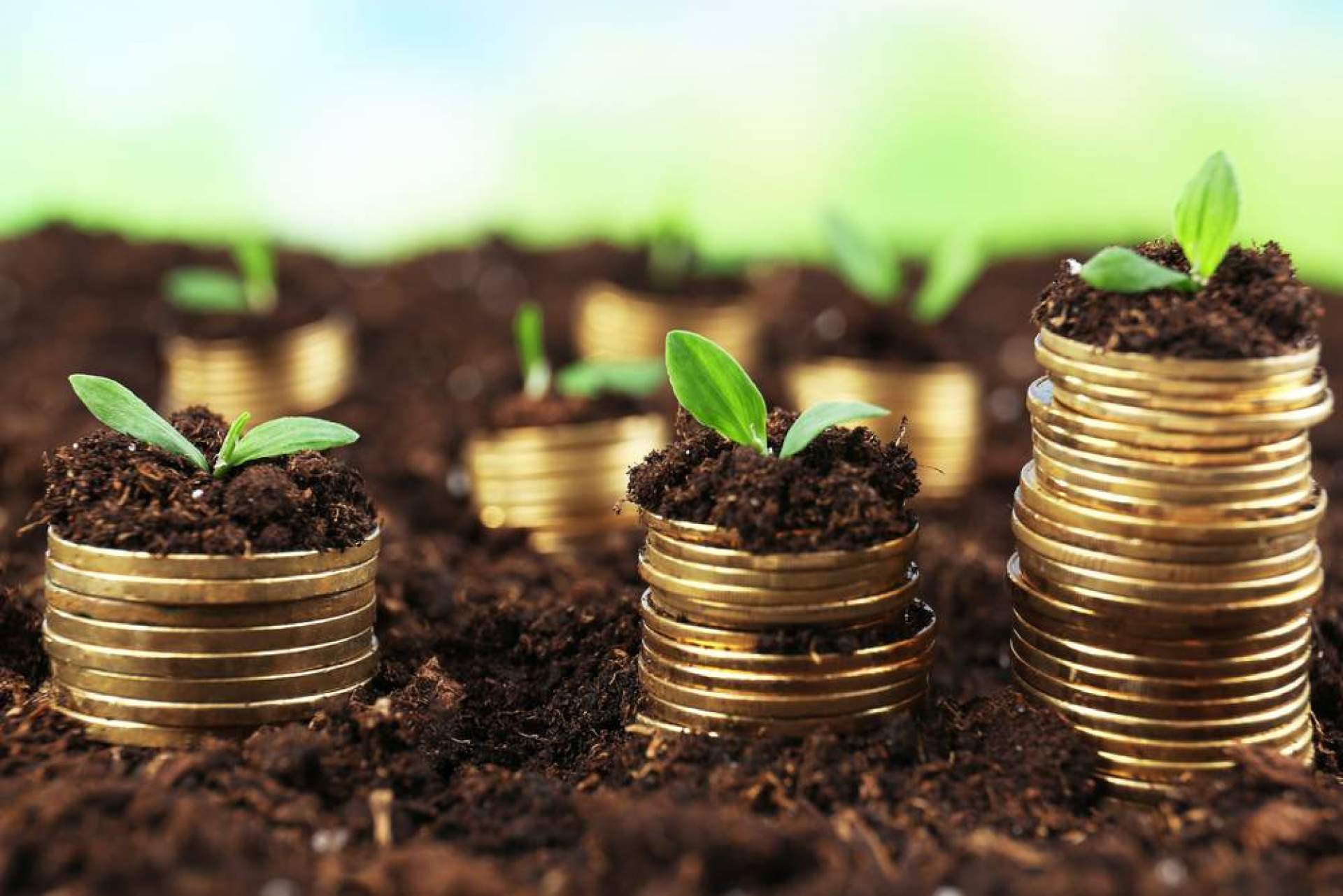 Inversiones. Wolves Legacy y mejores oportunidades