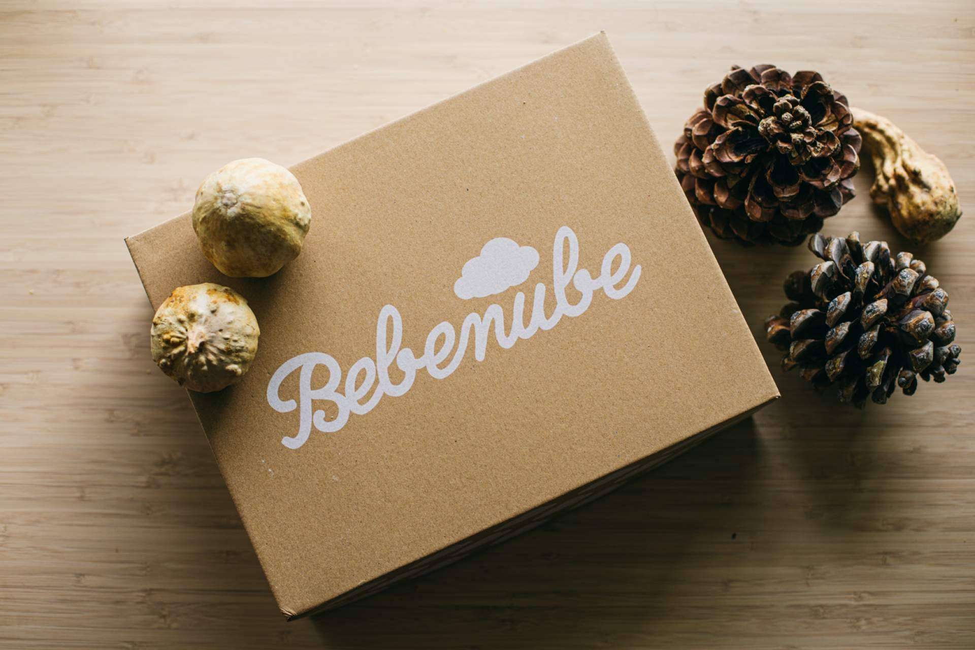 La nueva tienda online para el mundo del bebé, la mamá y el papá de Bebenube