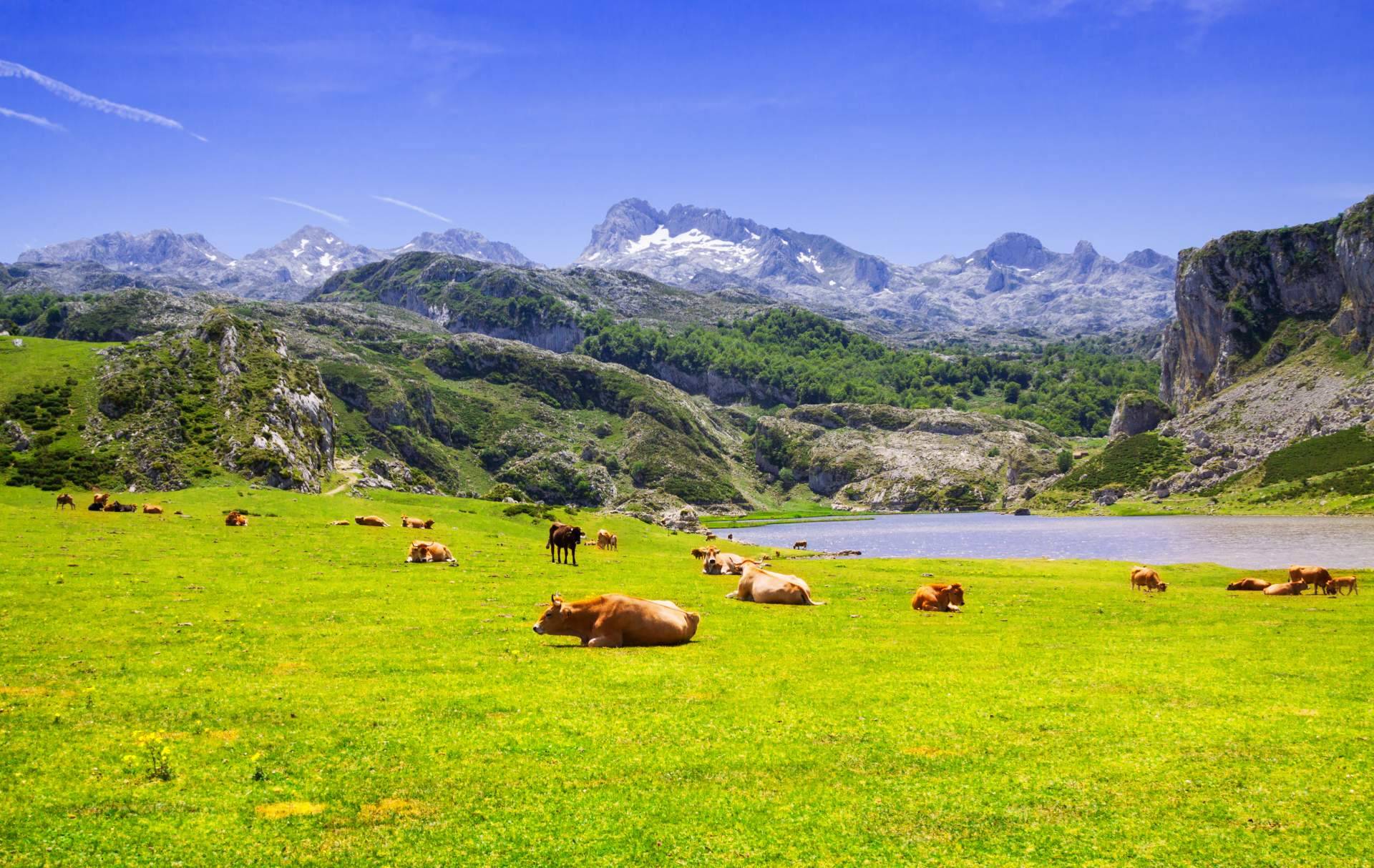 Un paraíso en el norte de España, Asturias